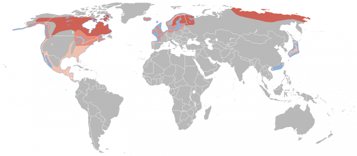 rasprostranenie-chayki-e1501356857708.png
