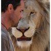lion-face_1739861i.jpg
