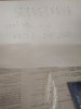 IMG_20200624_160315.jpg