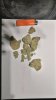 IMG_20201106_000350~2.jpg