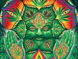 RastaMen_shop