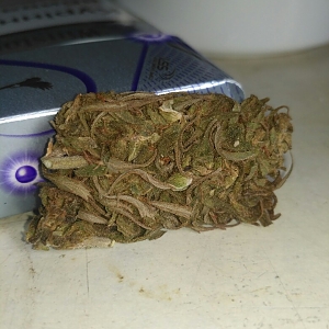 Amnesia Haze