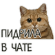 82