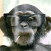 MonkeyEmoticon